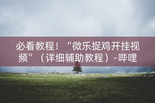 必看教程！“微乐捉鸡开挂视频”（详细辅助教程）-哔哩哔哩