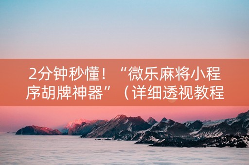 2分钟秒懂！“微乐麻将小程序胡牌神器”（详细透视教程）-哔哩哔哩