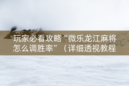 玩家必看攻略“微乐龙江麻将怎么调胜率”（详细透视教程）-哔哩哔哩