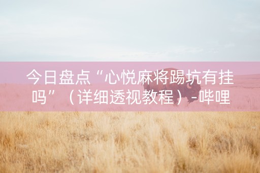 今日盘点“心悦麻将踢坑有挂吗”（详细透视教程）-哔哩哔哩