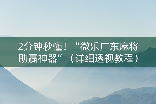 2分钟秒懂！“微乐广东麻将助赢神器”（详细透视教程）-哔哩哔哩