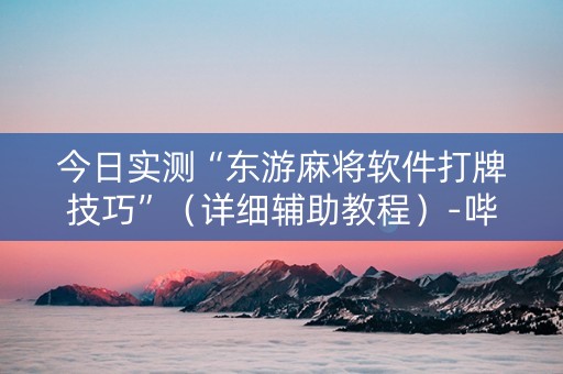 今日实测“东游麻将软件打牌技巧”（详细辅助教程）-哔哩哔哩