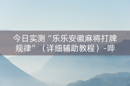今日实测“乐乐安徽麻将打牌规律”（详细辅助教程）-哔哩哔哩