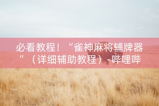 必看教程！“雀神麻将辅牌器”（详细辅助教程）-哔哩哔哩