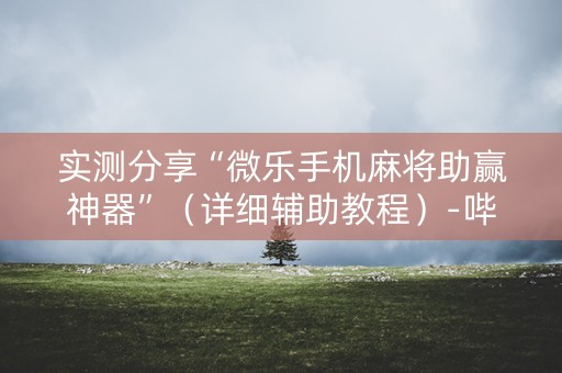 实测分享“微乐手机麻将助赢神器”（详细辅助教程）-哔哩哔哩