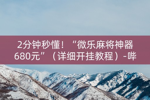 2分钟秒懂！“微乐麻将神器680元”（详细开挂教程）-哔哩哔哩