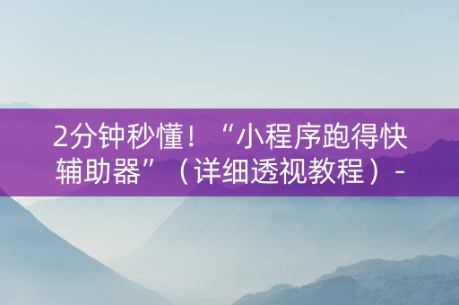 2分钟秒懂！“小程序跑得快辅助器”（详细透视教程）-哔哩哔哩