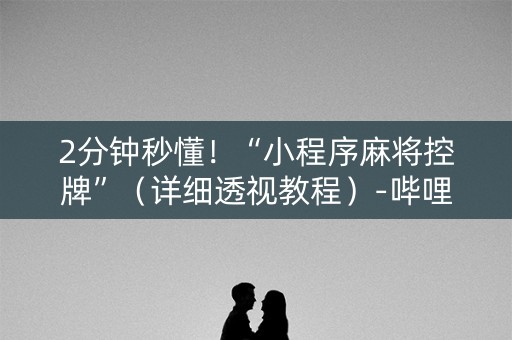 2分钟秒懂！“小程序麻将控牌”（详细透视教程）-哔哩哔哩