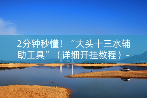 2分钟秒懂！“大头十三水辅助工具”（详细开挂教程）-哔哩哔哩