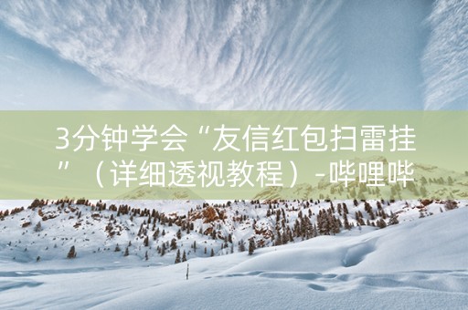 3分钟学会“友信红包扫雷挂”（详细透视教程）-哔哩哔哩