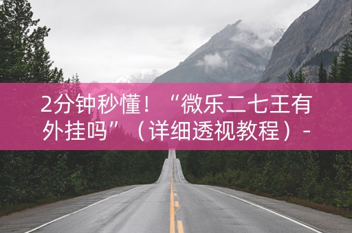 2分钟秒懂！“微乐二七王有外挂吗”（详细透视教程）-哔哩哔哩