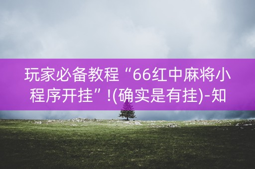 玩家必备教程“66红中麻将小程序开挂”!(确实是有挂)-知乎