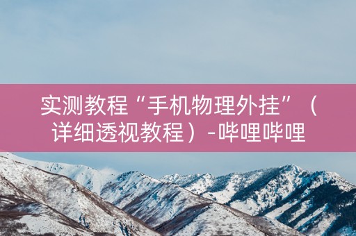实测教程“手机物理外挂”（详细透视教程）-哔哩哔哩