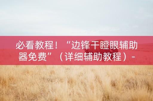 必看教程！“边锋干瞪眼辅助器免费”（详细辅助教程）-哔哩哔哩