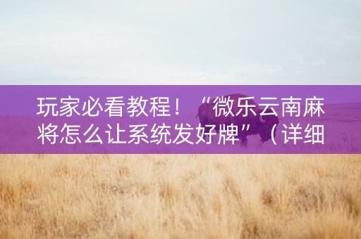 玩家必看教程！“微乐云南麻将怎么让系统发好牌”（详细开挂教程）-哔哩哔哩