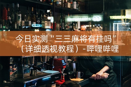 今日实测“三三麻将有挂吗”（详细透视教程）-哔哩哔哩