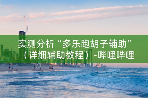 实测分析“多乐跑胡子辅助”（详细辅助教程）-哔哩哔哩