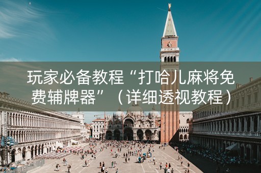玩家必备教程“打哈儿麻将免费辅牌器”（详细透视教程）-哔哩哔哩
