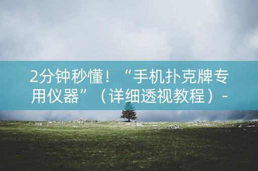 2分钟秒懂！“手机扑克牌专用仪器”（详细透视教程）-哔哩哔哩