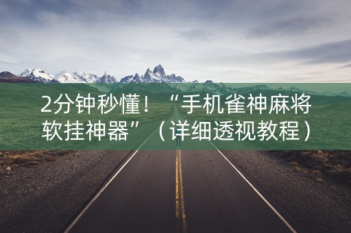 2分钟秒懂！“手机雀神麻将软挂神器”（详细透视教程）-哔哩哔哩