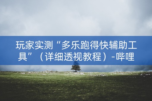 玩家实测“多乐跑得快辅助工具”（详细透视教程）-哔哩哔哩