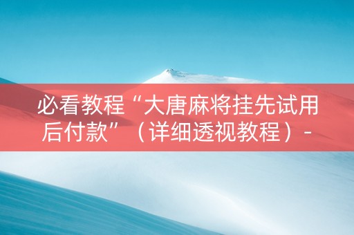 必看教程“大唐麻将挂先试用后付款”（详细透视教程）-哔哩哔哩