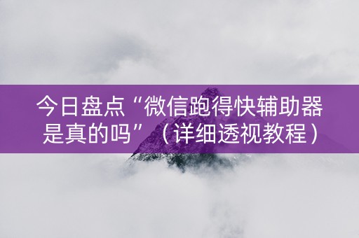 今日盘点“微信跑得快辅助器是真的吗”（详细透视教程）-哔哩哔哩