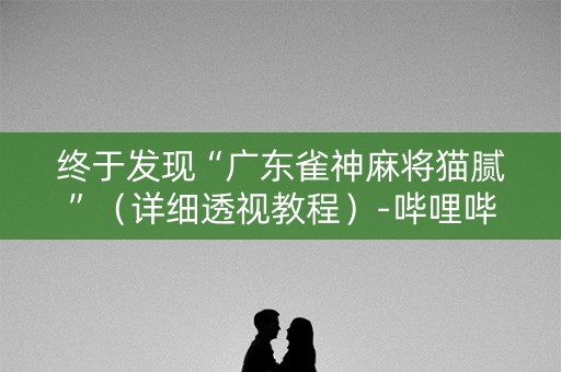 终于发现“广东雀神麻将猫腻”（详细透视教程）-哔哩哔哩
