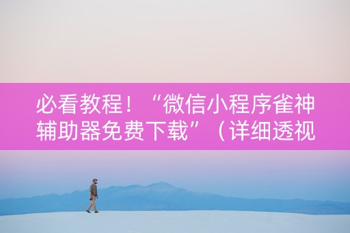 必看教程！“微信小程序雀神辅助器免费下载”（详细透视教程）-哔哩哔哩