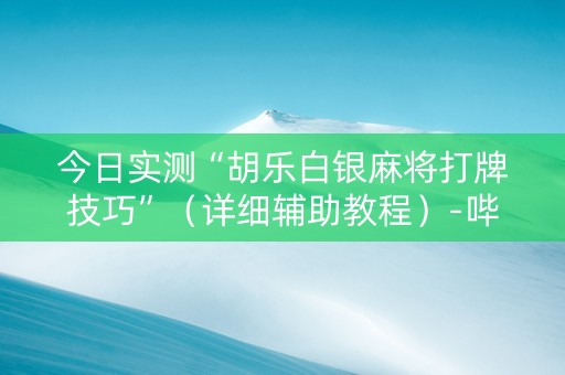 今日实测“胡乐白银麻将打牌技巧”（详细辅助教程）-哔哩哔哩