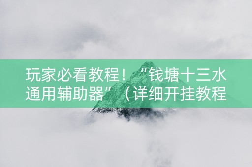 玩家必看教程！“钱塘十三水通用辅助器”（详细开挂教程）-哔哩哔哩