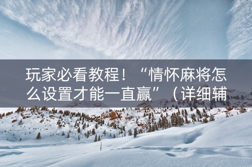 玩家必看教程！“情怀麻将怎么设置才能一直赢”（详细辅助教程）-哔哩哔哩