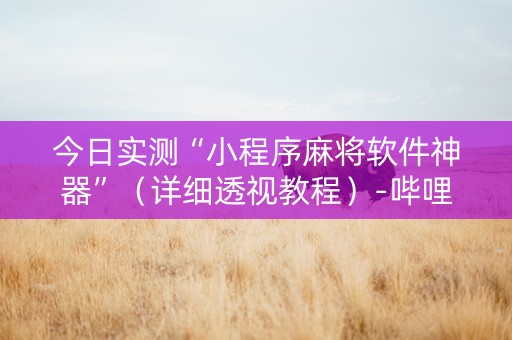 今日实测“小程序麻将软件神器”（详细透视教程）-哔哩哔哩