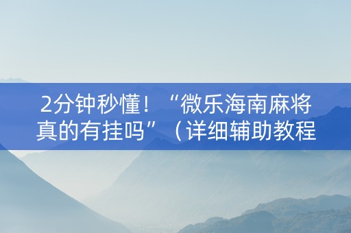 2分钟秒懂！“微乐海南麻将真的有挂吗”（详细辅助教程）-哔哩哔哩