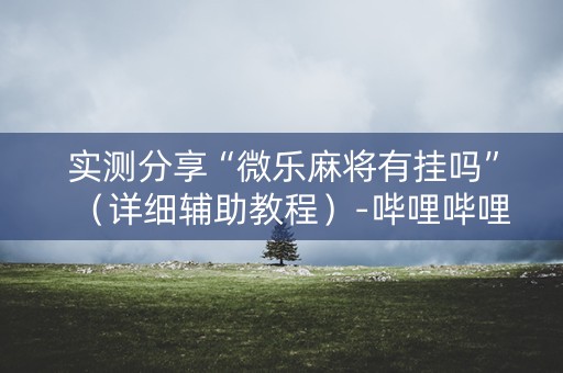 实测分享“微乐麻将有挂吗”（详细辅助教程）-哔哩哔哩