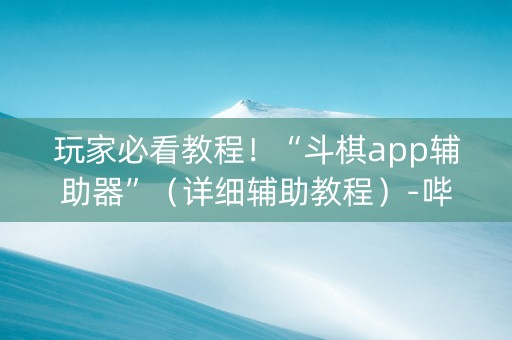 玩家必看教程！“斗棋app辅助器”（详细辅助教程）-哔哩哔哩
