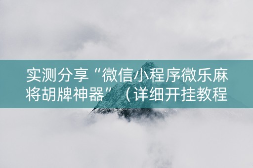 实测分享“微信小程序微乐麻将胡牌神器”（详细开挂教程）-哔哩哔哩