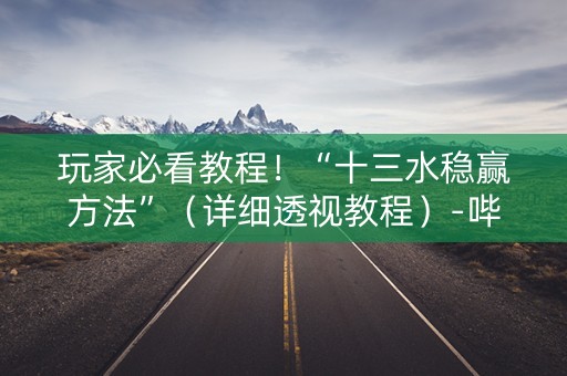 玩家必看教程！“十三水稳赢方法”（详细透视教程）-哔哩哔哩