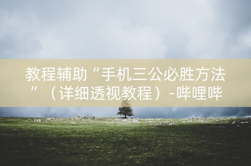 教程辅助“手机三公必胜方法”（详细透视教程）-哔哩哔哩