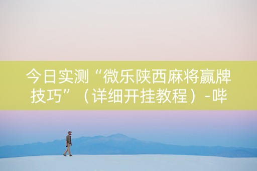 今日实测“微乐陕西麻将赢牌技巧”（详细开挂教程）-哔哩哔哩