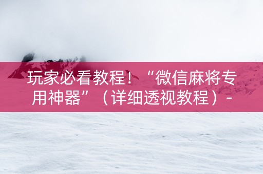 玩家必看教程！“微信麻将专用神器”（详细透视教程）-哔哩哔哩