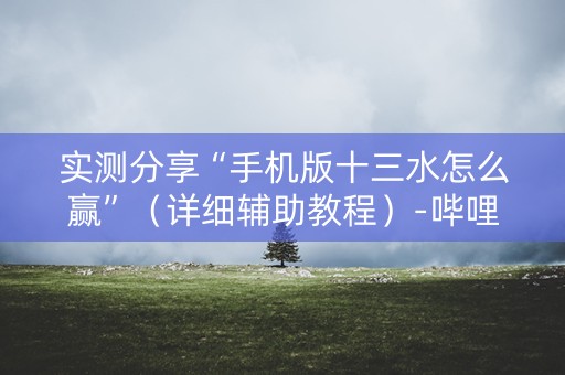实测分享“手机版十三水怎么赢”（详细辅助教程）-哔哩哔哩