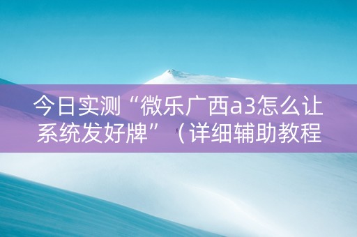 今日实测“微乐广西a3怎么让系统发好牌”（详细辅助教程）-哔哩哔哩