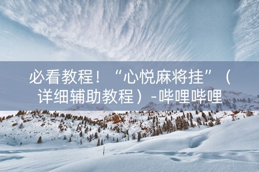 必看教程！“心悦麻将挂”（详细辅助教程）-哔哩哔哩