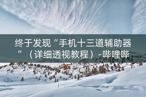 终于发现“手机十三道辅助器”（详细透视教程）-哔哩哔哩