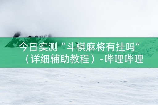 今日实测“斗棋麻将有挂吗”（详细辅助教程）-哔哩哔哩
