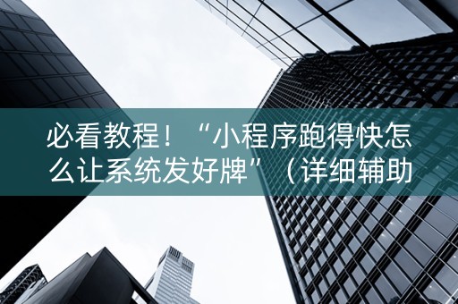 必看教程！“小程序跑得快怎么让系统发好牌”（详细辅助教程）-哔哩哔哩