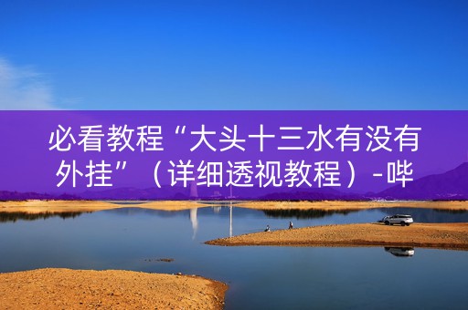 必看教程“大头十三水有没有外挂”（详细透视教程）-哔哩哔哩