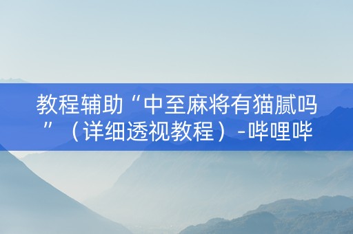 教程辅助“中至麻将有猫腻吗”（详细透视教程）-哔哩哔哩