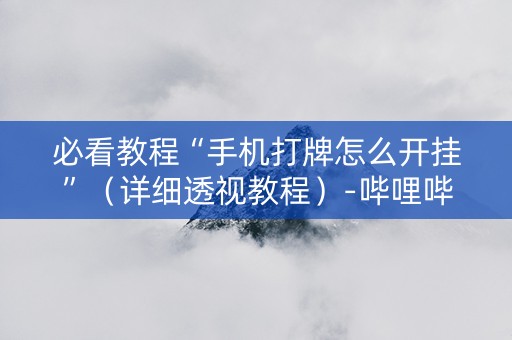 必看教程“手机打牌怎么开挂”（详细透视教程）-哔哩哔哩